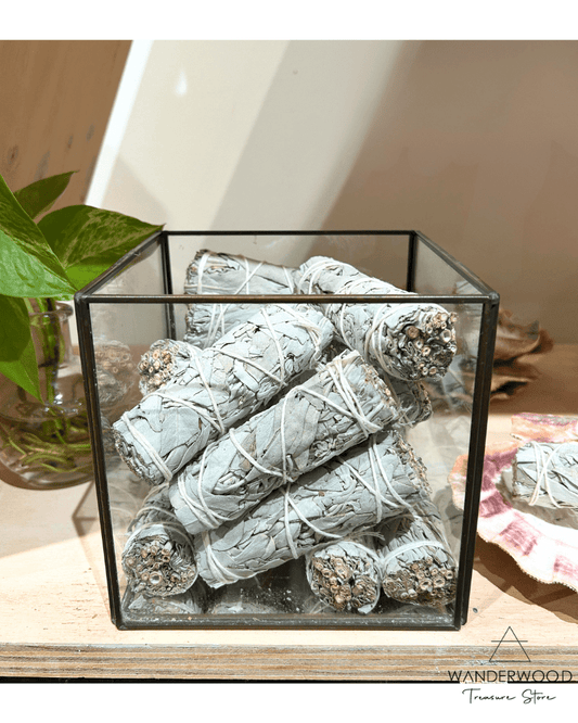 California Witte Salie Smudge - WanderWood