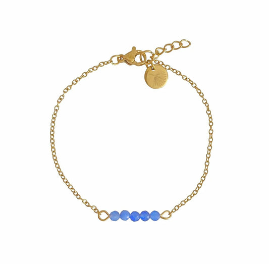 Armbandje Blauwe Aventurijn & Palm Blad - Goud - 56014